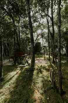 settlers park